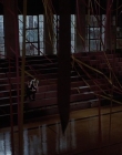 The_Faculty_HQ_mp49782.jpg