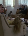 Filename=Girl_Interrupted_mp42037.jpg
Filesize=1086KiB
Dimensions=1920x1080
Date added=Mar 11, 2021 Girl_Interrupted_mp42037.jpg