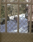 Filename=Girl_Interrupted_mp43369.jpg
Filesize=1173KiB
Dimensions=1920x1080
Date added=Mar 11, 2021 Girl_Interrupted_mp43369.jpg