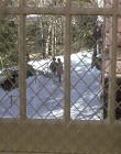 Filename=Girl_Interrupted_mp43375.jpg
Filesize=1246KiB
Dimensions=1920x1080
Date added=Mar 11, 2021 Girl_Interrupted_mp43375.jpg