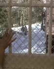 Filename=Girl_Interrupted_mp43376.jpg
Filesize=1179KiB
Dimensions=1920x1080
Date added=Mar 11, 2021 Girl_Interrupted_mp43376.jpg