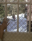 Filename=Girl_Interrupted_mp43377.jpg
Filesize=1182KiB
Dimensions=1920x1080
Date added=Mar 11, 2021 Girl_Interrupted_mp43377.jpg