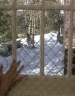 Filename=Girl_Interrupted_mp43378.jpg
Filesize=1198KiB
Dimensions=1920x1080
Date added=Mar 11, 2021 Girl_Interrupted_mp43378.jpg