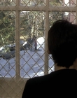 Filename=Girl_Interrupted_mp43399.jpg
Filesize=1061KiB
Dimensions=1920x1080
Date added=Mar 11, 2021 Girl_Interrupted_mp43399.jpg
