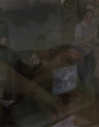 Filename=Girl_Interrupted_mp43478.jpg
Filesize=904KiB
Dimensions=1920x1080
Date added=Mar 11, 2021 Girl_Interrupted_mp43478.jpg