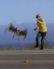 Filename=Ten_Inch_Hero_mkv3471.jpg
Filesize=51KiB
Dimensions=1280x720
Date added=Mar 01, 2021 Ten_Inch_Hero_mkv3471.jpg
