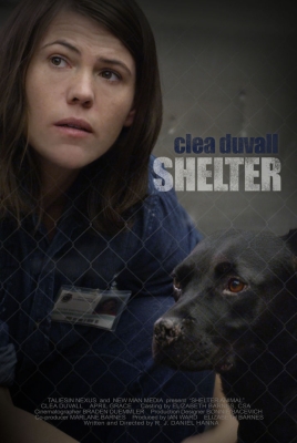 Shelter_28429.jpg