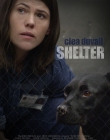 Filename=Shelter_28429.jpg
Filesize=97KiB
Dimensions=726x1080
Date added=Aug 15, 2025 Shelter_28429.jpg