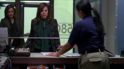 Law_and_Order_SVU_S10E08_Persona_mp40861.jpg