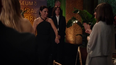 Veep_S05E03_mkv1351.jpg