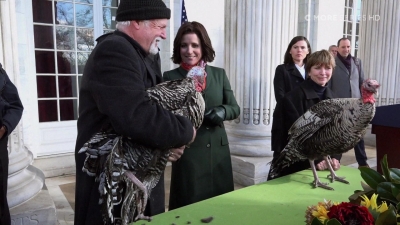 Veep_S05E09_mkv3205.jpg