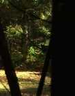 Filename=The_Watch_mp40722.jpg
Filesize=816KiB
Dimensions=1920x1080
Date added=Aug 24, 2023 The_Watch_mp40722.jpg
