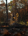 Filename=The_Watch_mp41655.jpg
Filesize=952KiB
Dimensions=1920x1080
Date added=Aug 24, 2023 The_Watch_mp41655.jpg