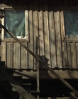 Filename=The_Watch_mp43343.jpg
Filesize=874KiB
Dimensions=1920x1080
Date added=Aug 24, 2023 The_Watch_mp43343.jpg