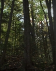 Filename=The_Watch_mp43502.jpg
Filesize=1019KiB
Dimensions=1920x1080
Date added=Aug 24, 2023 The_Watch_mp43502.jpg