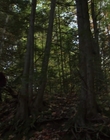 Filename=The_Watch_mp43503.jpg
Filesize=962KiB
Dimensions=1920x1080
Date added=Aug 24, 2023 The_Watch_mp43503.jpg