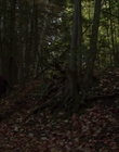 Filename=The_Watch_mp43507.jpg
Filesize=1023KiB
Dimensions=1920x1080
Date added=Aug 24, 2023 The_Watch_mp43507.jpg