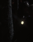 The_Watch_mp44514.jpg