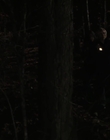 The_Watch_mp44561.jpg