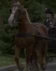 Filename=Lizzie_Borden_Took_an_Axe_mkv2271.jpg
Filesize=46KiB
Dimensions=1280x720
Date added=Mar 01, 2021 Lizzie_Borden_Took_an_Axe_mkv2271.jpg