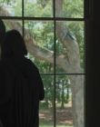 Filename=The_Intervention_mp41948.jpg
Filesize=669KiB
Dimensions=1920x792
Date added=Mar 02, 2021 The_Intervention_mp41948.jpg