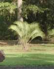 The_Intervention_mp43392.jpg