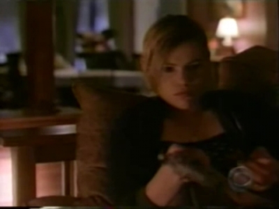 The_Fugitive_2000_episode_16_mkv4409.jpg