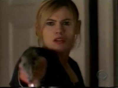 The_Fugitive_2000_episode_16_mkv5142.jpg