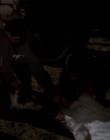 Filename=Carnivale_S01E02_mkv5918.jpg
Filesize=603KiB
Dimensions=1920x1080
Date added=Mar 22, 2021 Carnivale_S01E02_mkv5918.jpg