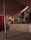 Filename=Carnivale_S01E08_mkv4119.jpg
Filesize=1169KiB
Dimensions=1920x1080
Date added=Mar 22, 2021 Carnivale_S01E08_mkv4119.jpg