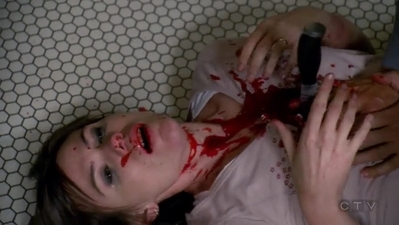 Law_and_Order_SVU_S10E08_Persona_mp41144.jpg
