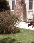 Filename=Saving_Grace_S03E09_mkv0517.jpg
Filesize=1334KiB
Dimensions=1920x1080
Date added=Mar 03, 2021 Saving_Grace_S03E09_mkv0517.jpg