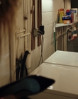 Filename=Poker_Face_S01E10_mkv2063.jpg
Filesize=836KiB
Dimensions=1920x1080
Date added=Mar 20, 2023 Poker_Face_S01E10_mkv2063.jpg